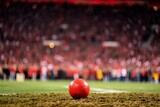 Fototapeta Fototapety sport - Red and white soccer ball on a green field