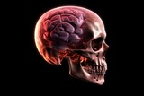 Fototapeta Nowy Jork - 3d rendered anatomy illustration of a human body shape with active brain