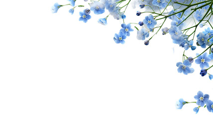 Wall Mural - delicate forget-me-not blooms as a frame border, isolated with negative space for layouts