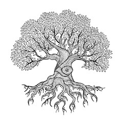 Aufkleber - Old big family tree with roots isolated on white. Concept Art for your design. Design interior ideas.