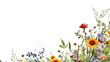 colorful wildflowers in full bloom as a frame border, isolated with negative space for layouts