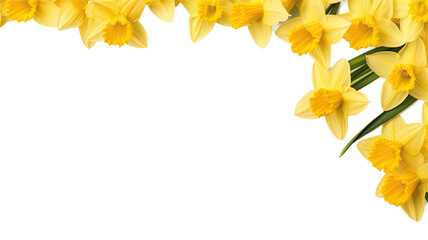 Wall Mural - delightful daffodil petals as a frame border, isolated with negative space for layouts