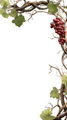 Wall Mural - twisting grapevine branches as a frame border, isolated with negative space for layouts