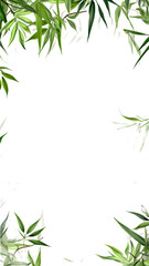 Wall Mural - verdant bamboo leaves as a frame border, isolated with negative space for layouts