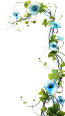 Wall Mural - whimsical morning glory vines as a frame border, isolated with negative space for layouts