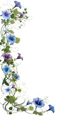 Wall Mural - whimsical morning glory vines as a frame border, isolated with negative space for layouts