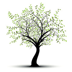 Wall Mural - Green vector tree over white background