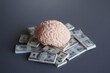 Closeup image of brain and money. Business mindset, investing money in education concept