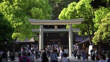 Tokyo, Japan: People Walk Through The Tori Traditional Gate Toward The Famous Meiji Jingu Shinto Temple In The Heart Of Tokyo Between Shibuya And Shinjuku. Shot As A Time Lapse Video