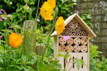 An Insect Hotel Or Bee Hotel In A Summer Garden. An Insect Hotel Is A Manmade Structure Created To Provide Shelter For Insects In A Variety Of Shapes And Sizes And Materials.