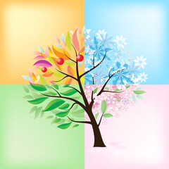 Wall Mural - Four Seasons Tree. Illustration on white background