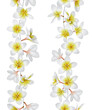Tropical necklace seamless border. Lei flowers. Vector Illustration