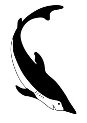 Wall Mural - sea shark silhouette on white background, vector illustration