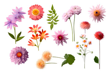 Wall Mural - Set of flowers isolated, Generative AI.