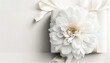 白い花とギフトイメージ コピースペース 背景 Generative AI