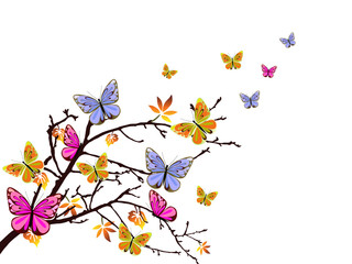 Wall Mural - vector illustration of colorful butterflies flying around an autumn branch