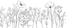 Wildflowers. Sketch In Lines, Freehand Drawing. Vector  Illustration, Summer Seamless Background, Flower Meadow.	