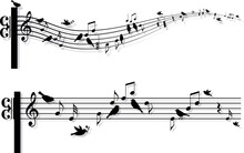 Music Notes With Singing Birds, Vector Background