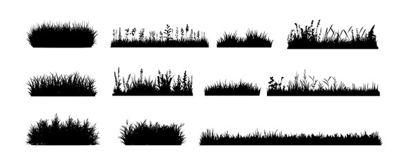 grass field border isolated on white background. silhouette garden grass lawn horizontal elements ve