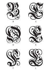 Sticker - calligraphic gothic initials letters B, C, D, E, F, L