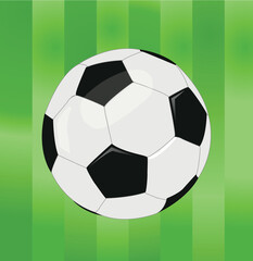 Wall Mural - vector soccer ball