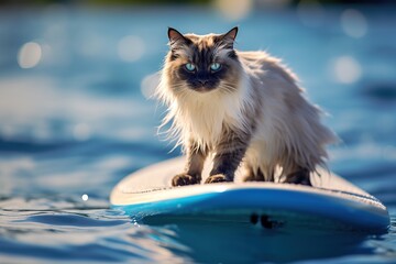 Wall Mural - Image of a Ragdoll cat surfing big waves on a surfboard at the beach on a sunny day.