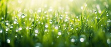 Natural Defocused Background. Green Juicy Grass In Drops Of Morning Dew Sparkles In Rays Of Sunlight. Nice Round Bokeh