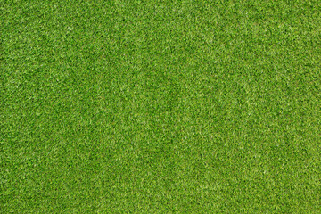 Canvas Print - green grass background