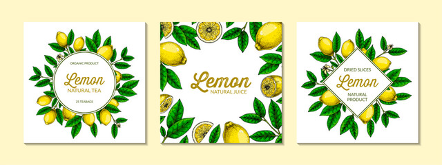 Wall Mural - Square lemon background. Hand drawn colorful vector illustration in sketch stile. Design for packaging, logo, invitation, greeting cards