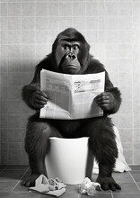 Gorilla Sit On The Toilet, Monkey Sitting On The Potty, Restroom Humor, Black And White