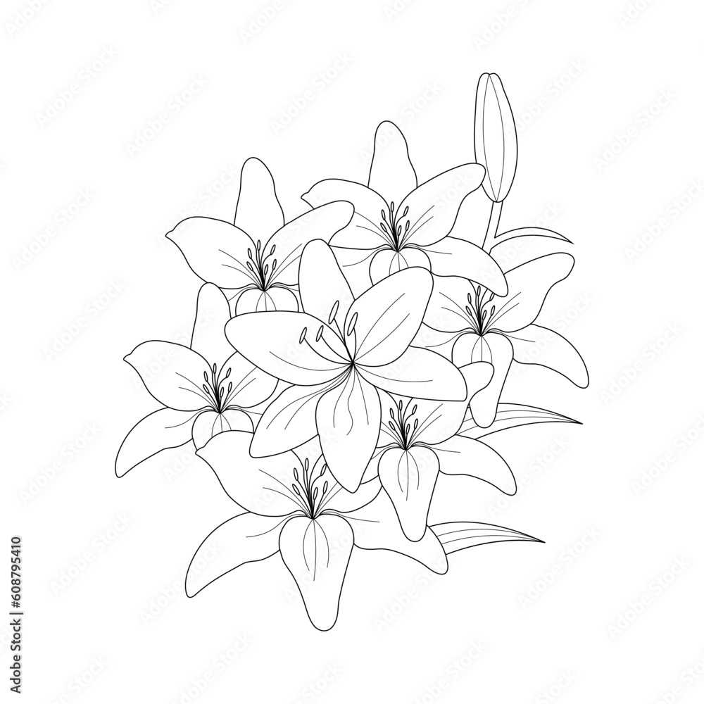 Lily Flower On a White Background isolated Vector illustration in Line ...