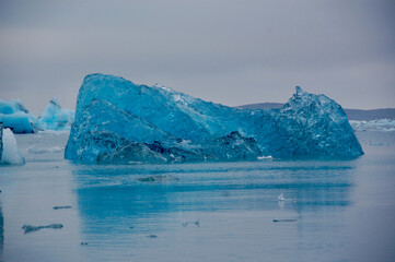 A glacier floats in the ocean in Iceland.