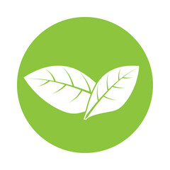 Poster - leaf icon vector