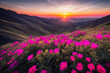 © mikhailberkut - Digital landscape photo of Sunset at mountain overlooking background sun light. Concept of ecological environment. Generative AI