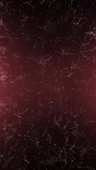 Wall Mural - vertical dark red cyber space network lines dots animation. copy space background.
