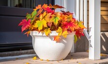  A White Planter Filled With Colorful Leaves On A Porch.  Generative Ai