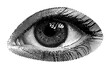 female eye with eyelashes isolated halftone dots texture black white bitmap retro vintage pop art style collage element for mixed media modern crazy design