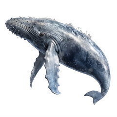 Wall Mural - a blue whale on a transparent background png isolated generative ai