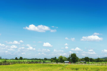 The sky is beautiful and there are forests.