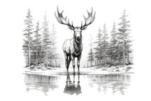 Cute Moose Drawing On White Background - Generative AI