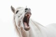 Horse screaming. Generate Ai