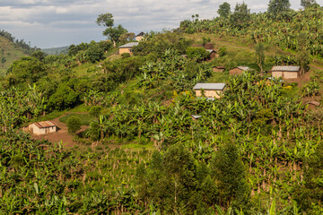 Lush rural landscape of the crater lakes region near Fort Portal, Uganda