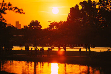 Wall Mural - sunset or evening time near the water of pond or lake in the public park