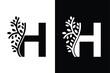 Letter H alphabet and growing leaf with black and white color. Very suitable for symbol, logo, company name, brand name, personal name, icon, identity, business, marketing and many more.
