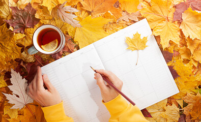 Wall Mural - Autumn flat lay - colorful autumn leaves, a cup of tea with lemon, clean week planner, female hands in a yellow hoodie, pencil in hand