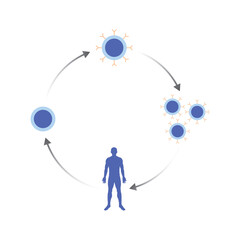 scientific designing of car t-cell therapy. vector illustration.