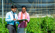 © WESTOCK - Happy indian bank officer taking sign from farmer to loan approval banking documents at greenhouse - concept of financial support, contract or deal and agribusiness
