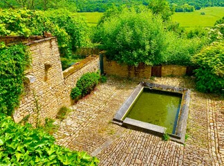 Wall Mural - vineyard and and old washing pool in the region of Burgundy in France