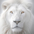 white lion on the white background, Generative AI