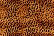 Beautiful seamless pattern with leopard or jaguar fur skin, wild nature endless texture rapport template. Generated with AI.